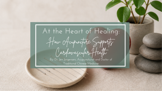 How Acupuntcture Supports Cardiovascular Health